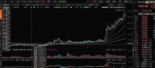 2019年，你可能錯過的十大牛股 軟件外包服務篇